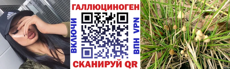 Галлюциногенные грибы мухоморы  Купить  Уссурийск 